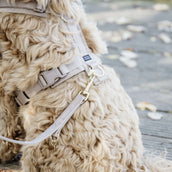 Kentucky Dog Leash Velvet Beige