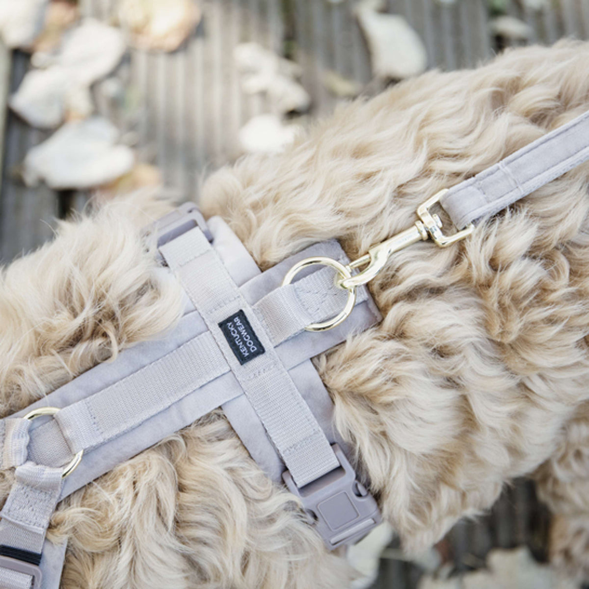 Kentucky Dog Leash Velvet Beige