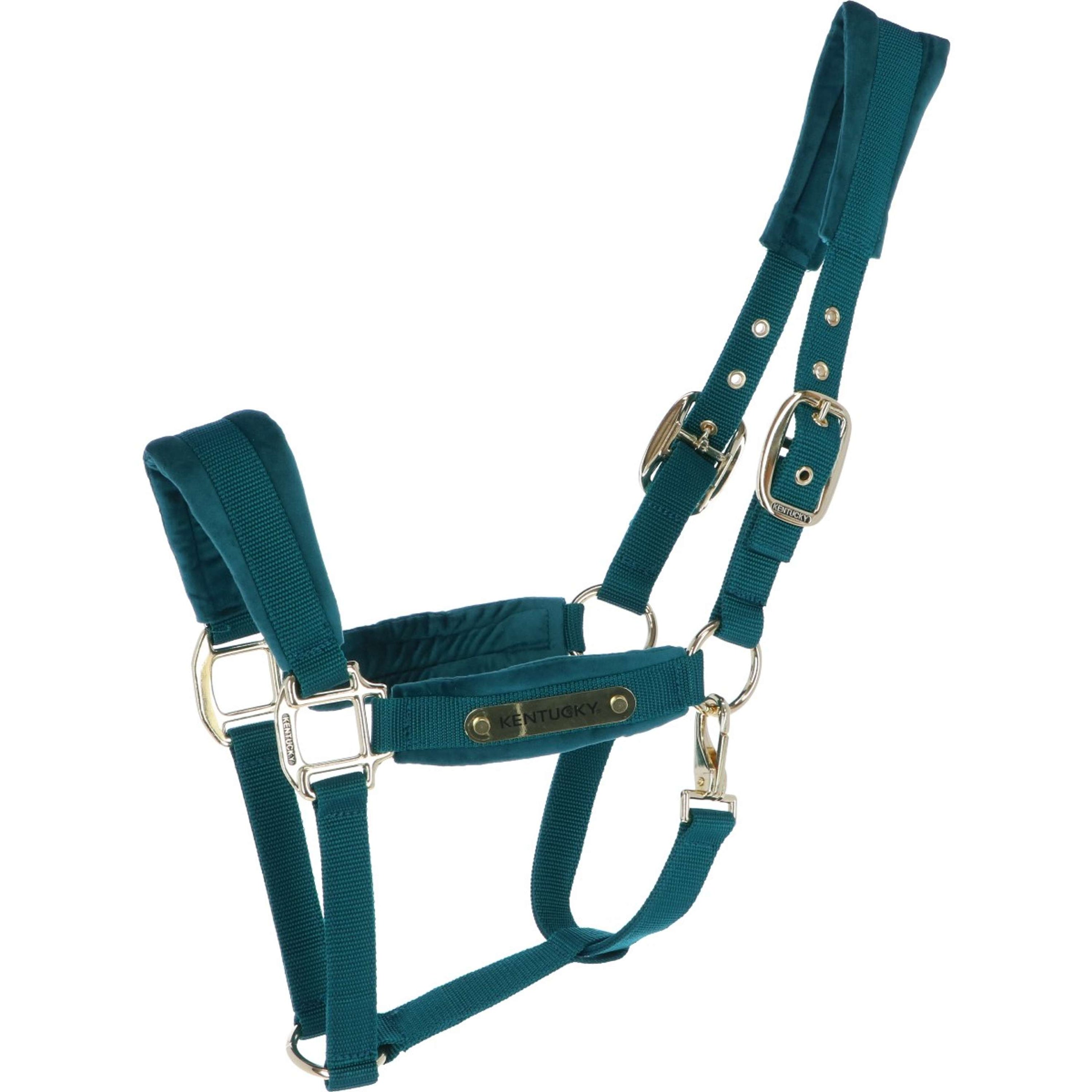 Kentucky Halter Velvet Emerald