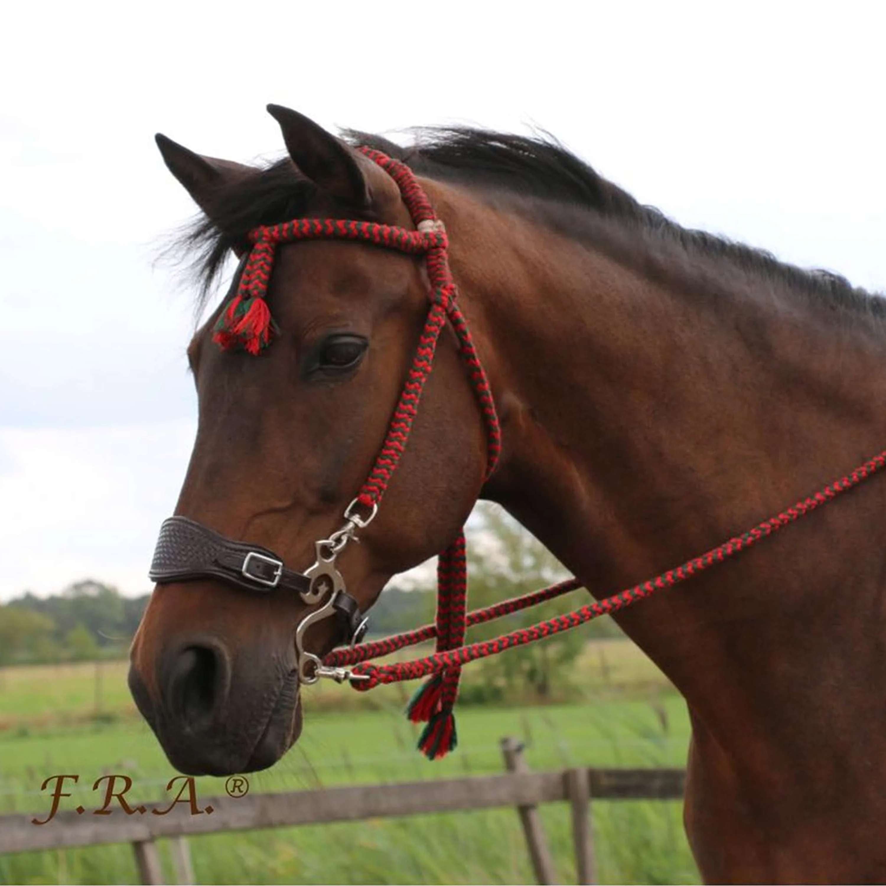 F.R.A. Classic Bridle Bodanza Cotton with Removable Reins Red/Green