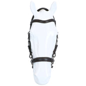 F.R.A. Hackamore Bridle Calli Stud Hook Leather Reins Havana