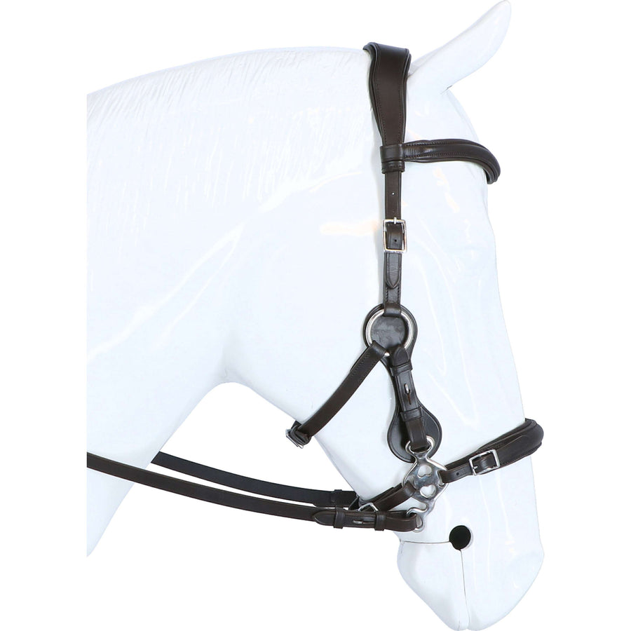 F.R.A. Hackamore Bridle Calli Stud Hook Leather Reins Havana