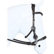 F.R.A. Hackamore Bridle Calli Stud Hook Leather Reins Havana