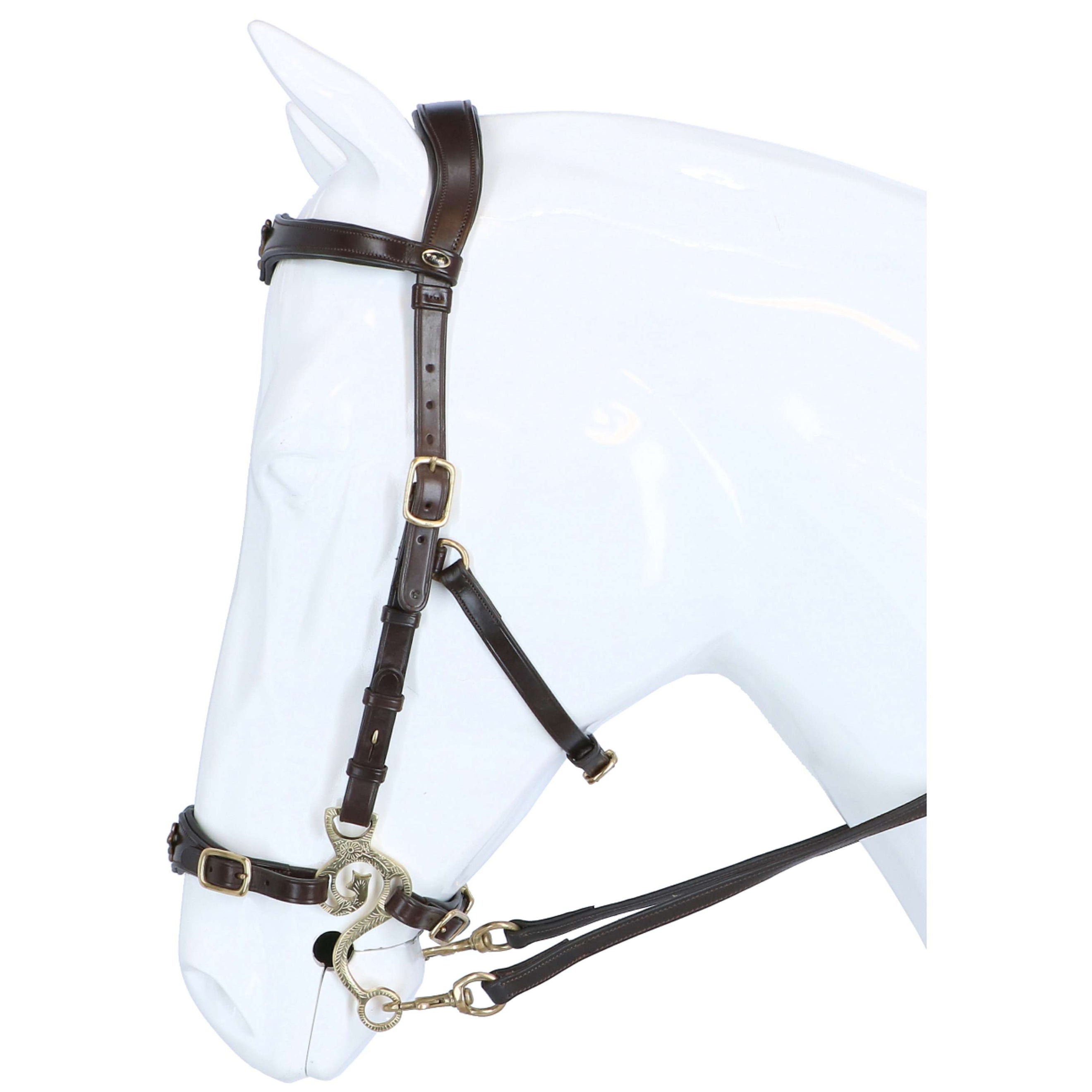 F.R.A. Hackamore Bridle Imperial Softleather Reins Havana