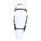 F.R.A. Bit-less Bridle Pariba Side Pull Leather Reins Brown/Brass Metal