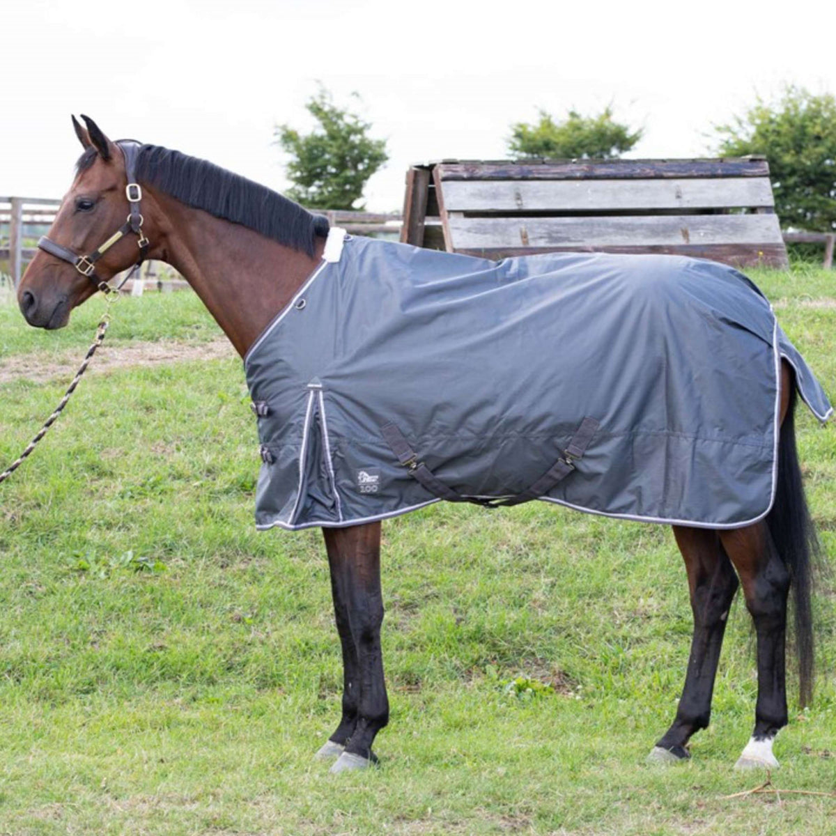 Harry's Horse Outdoor Rug Thor 100g Ebony