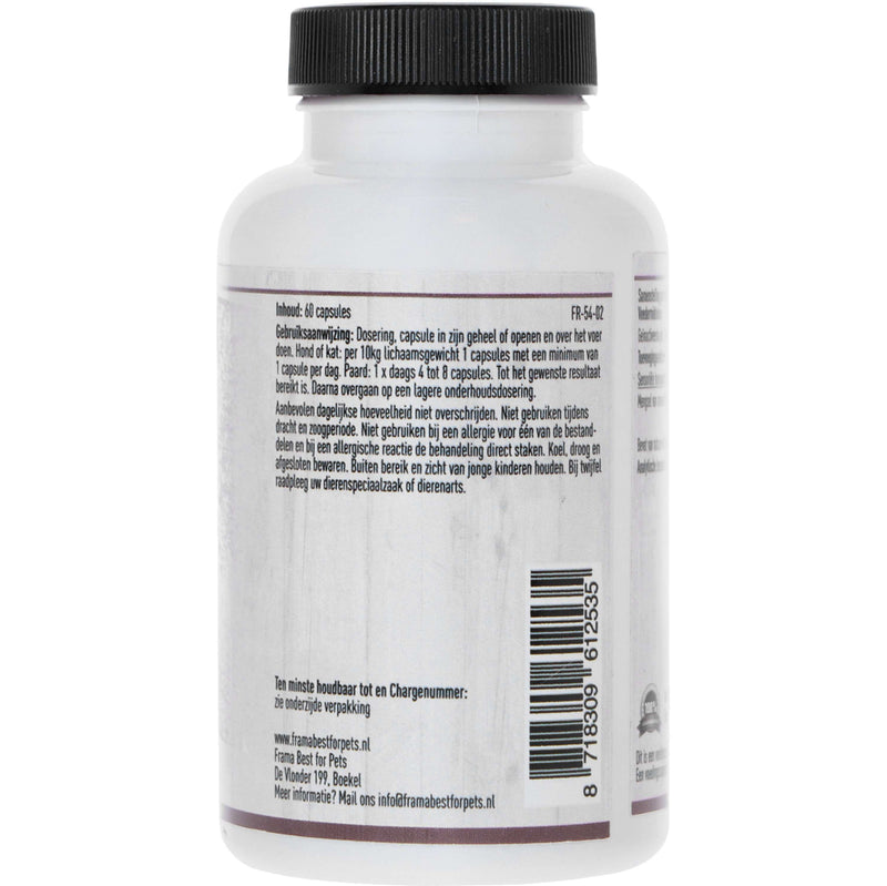 FBFP Digestive Enzyme Complex + Probiotics