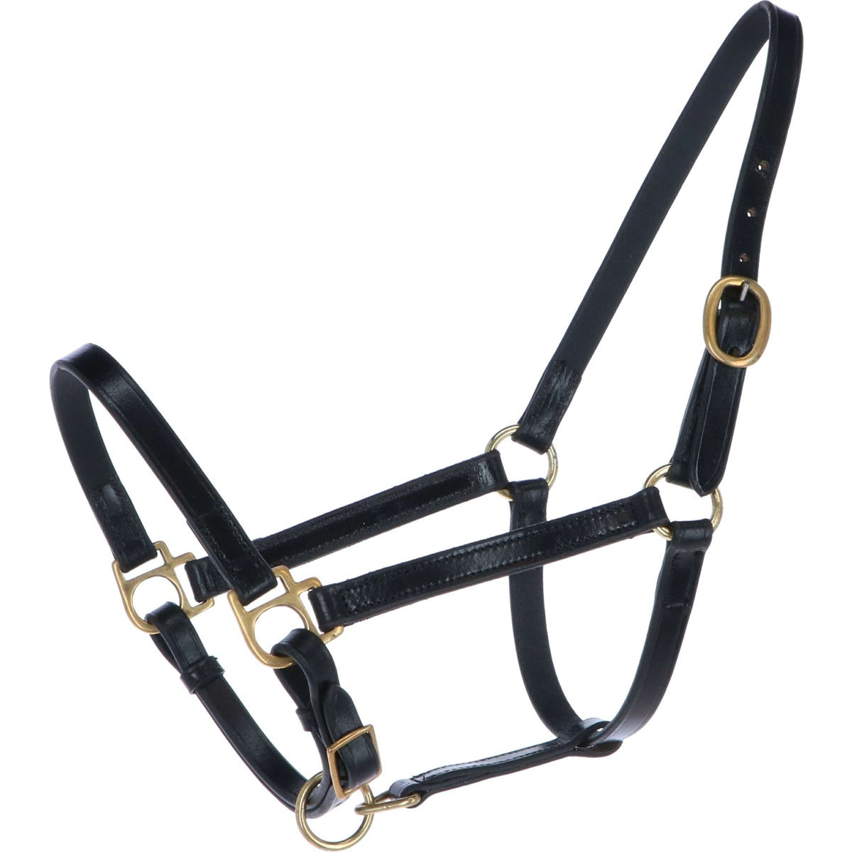 HB Foal Halter Leather Black