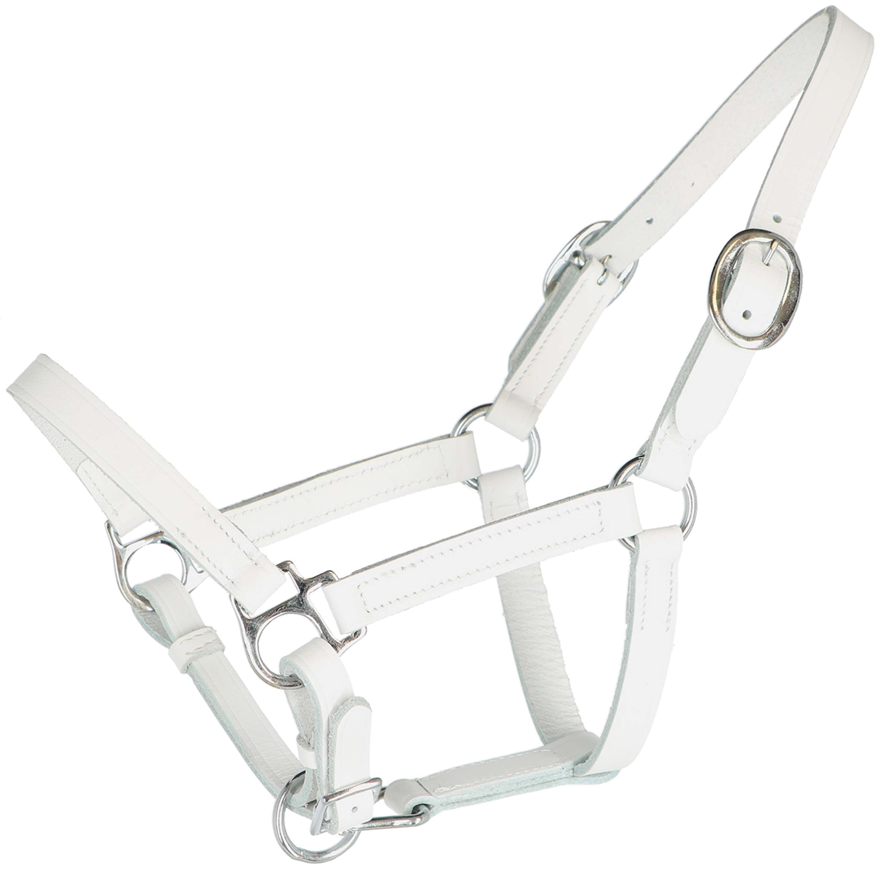 HB Foal Halter Leather White