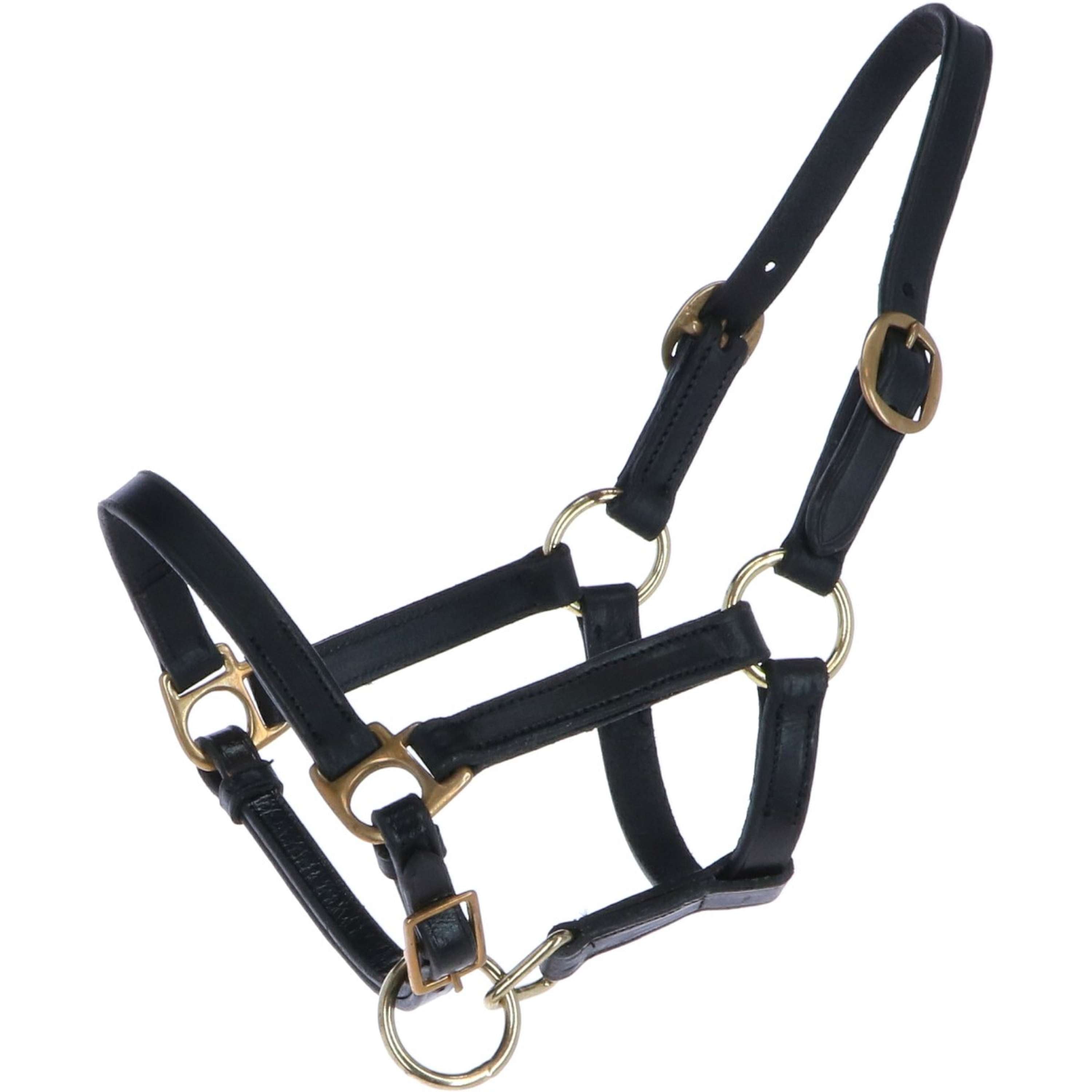 HB Foal Halter Leather Black