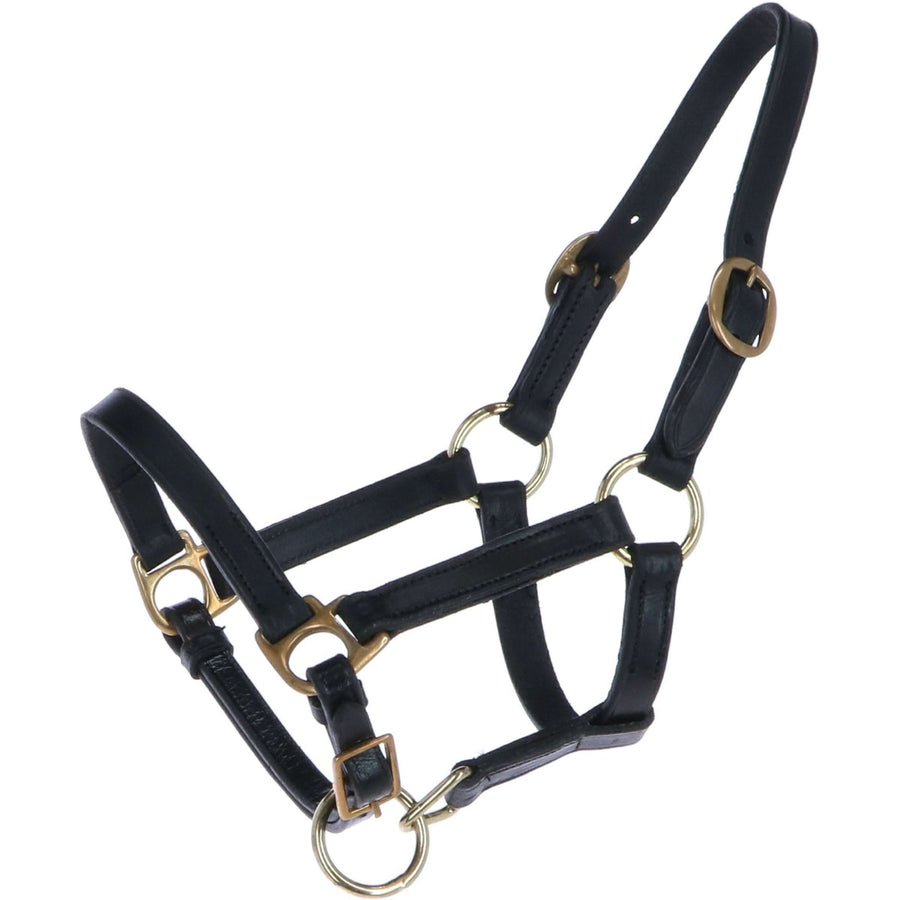 HB Foal Halter Leather Black