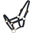 HB Foal Halter Leather Black