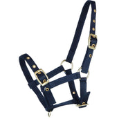 HB Foal Halter Nylon Blue