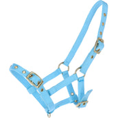 HB Foal Halter Nylon Lightblue