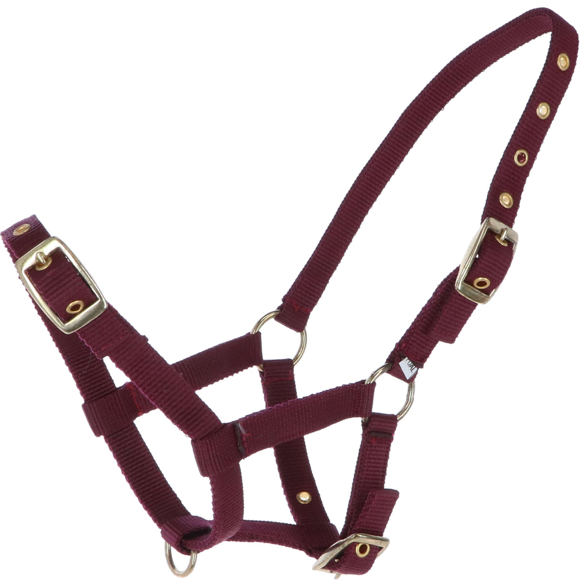 HB Foal Halter Nylon Bordeaux