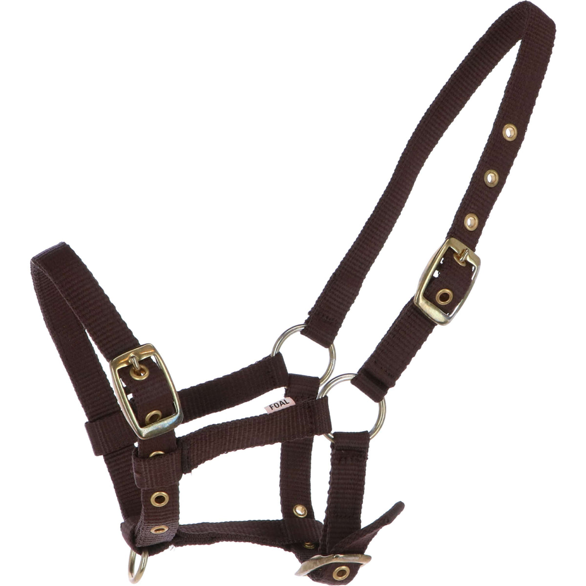 HB Foal Halter Nylon Brown