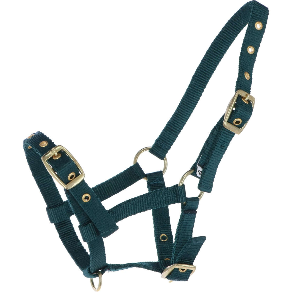 HB Foal Halter Nylon Green