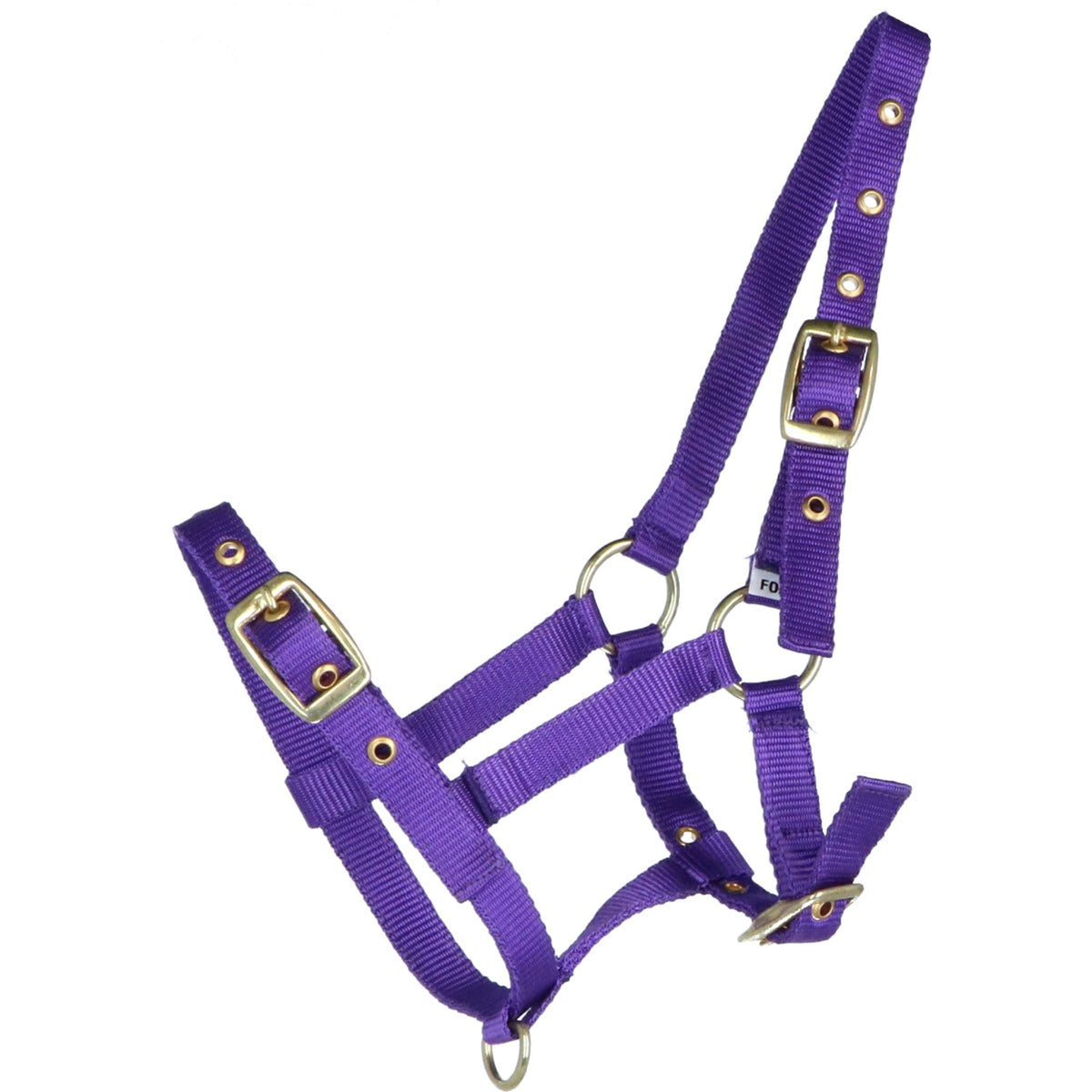 HB Foal Halter Nylon Purple