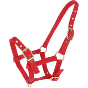 HB Foal Halter Nylon Red