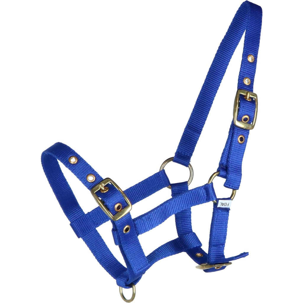 HB Foal Halter Nylon Royal Blue