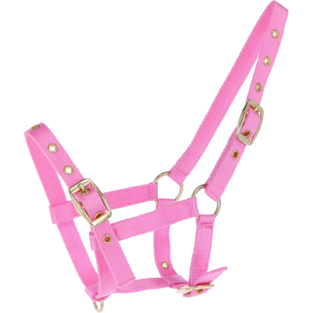 HB Foal Halter Nylon Pink