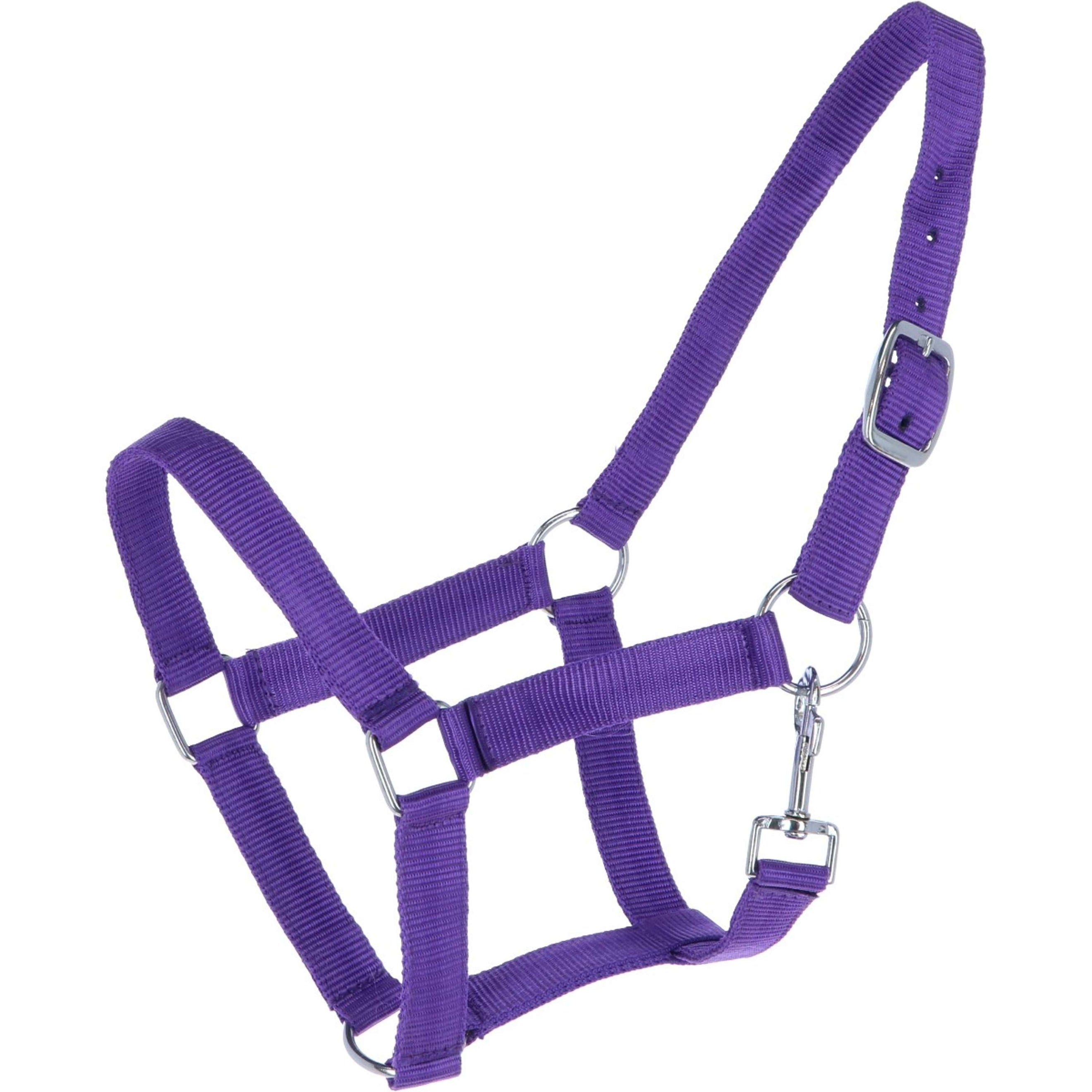 HB Halter Nylon Purple