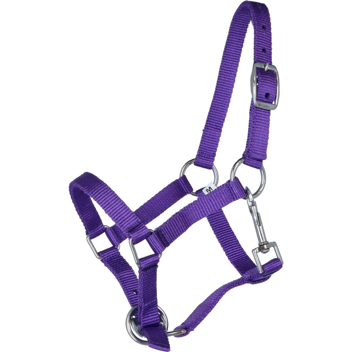 HB Foal Halter Astrid Purple