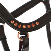 HB Showtime Halter Anatomic Brown