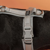 Kentucky Harness Active Reflective Grey