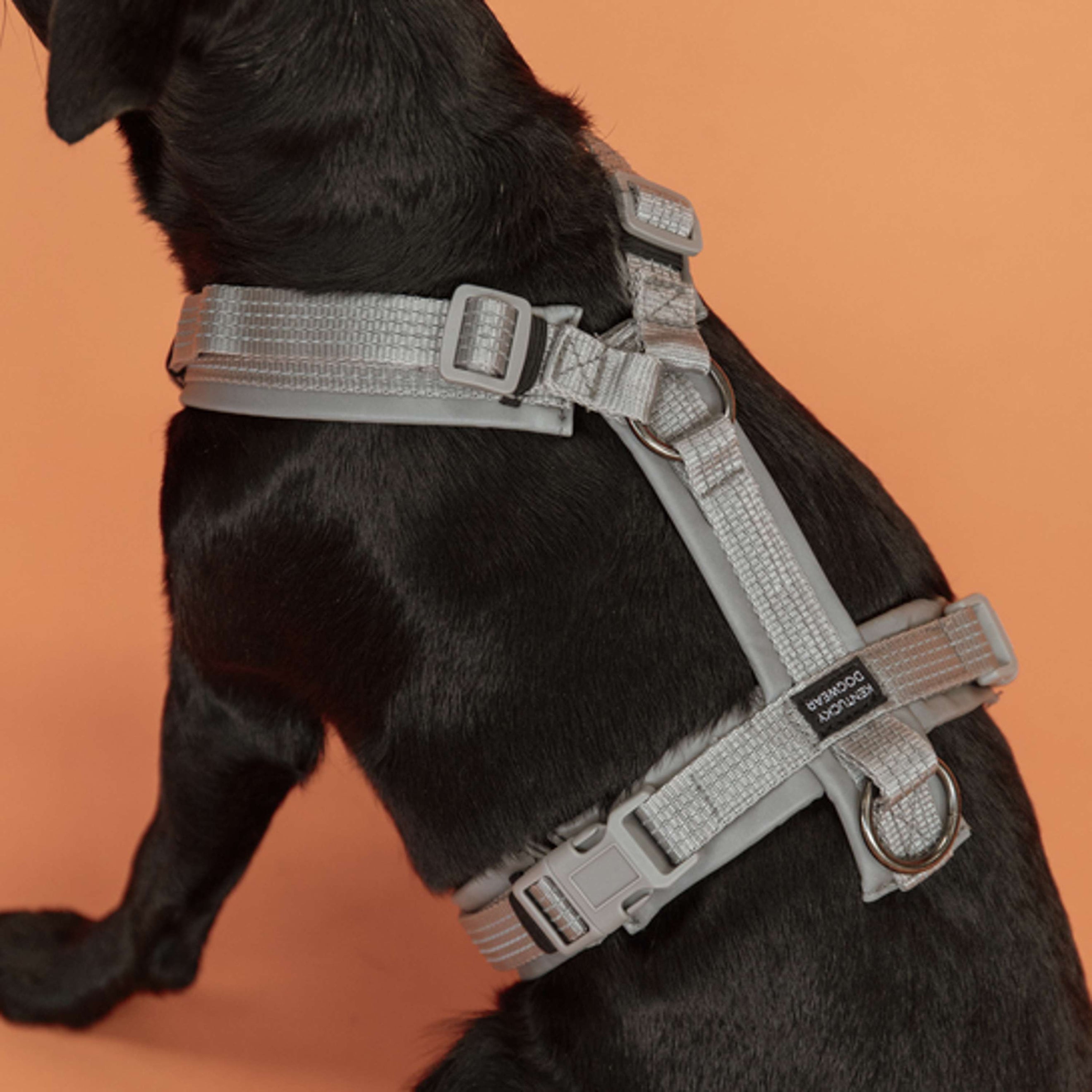 Kentucky Harness Active Reflective Grey Kentucky Harness Active Reflective Grey