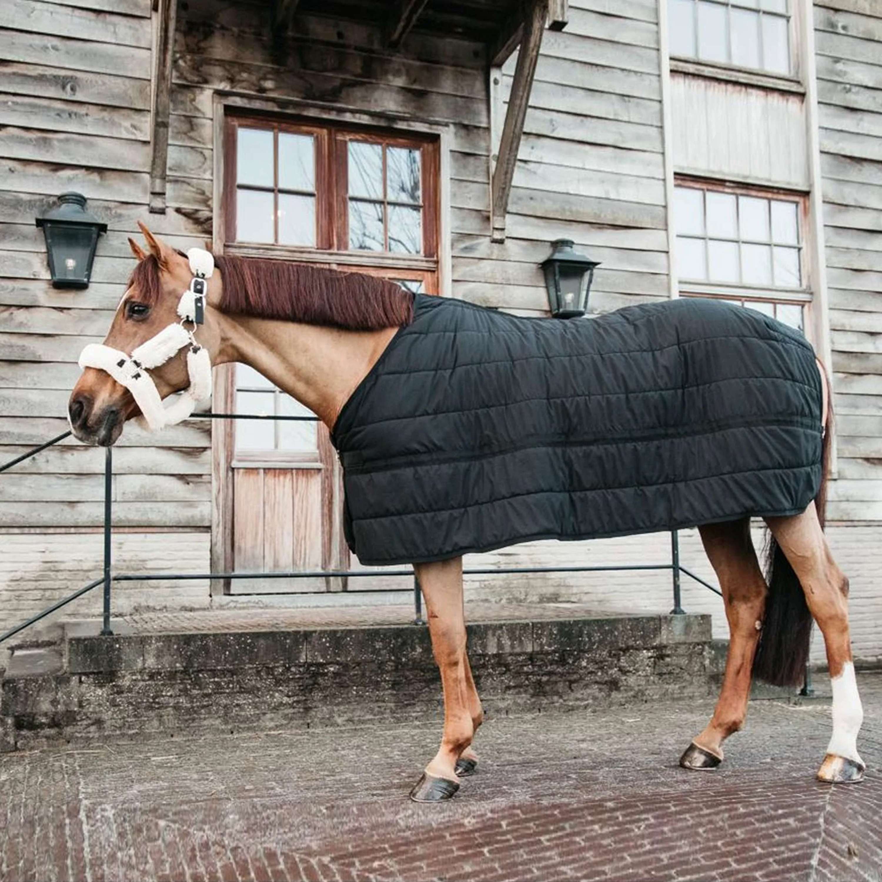 Kentucky Under Rug Skin Friendly 150g Black
