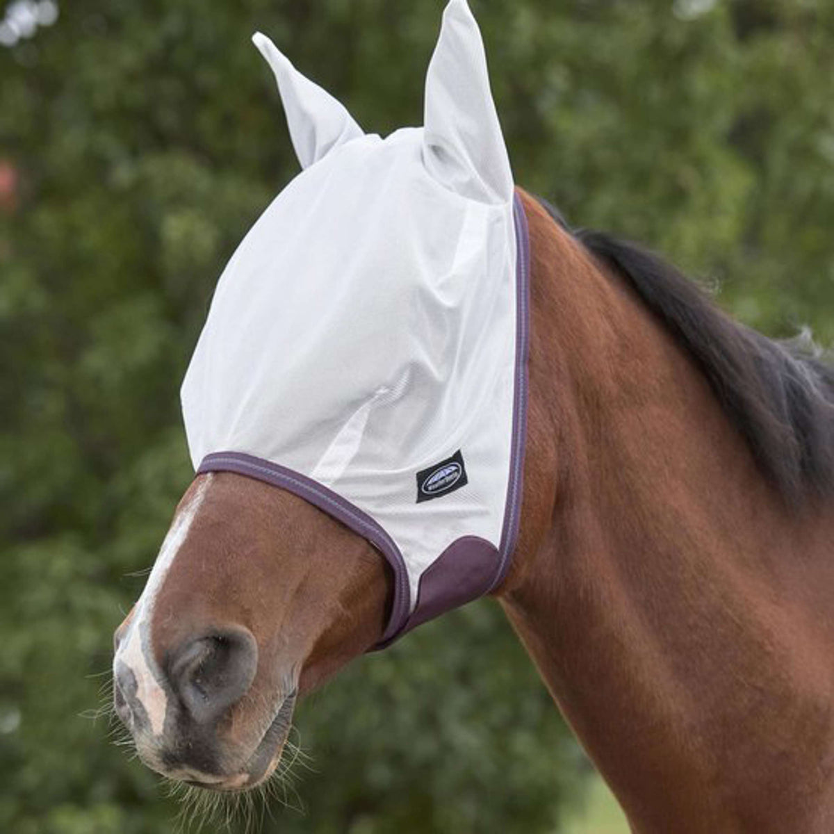 Weatherbeeta Fly Mask Comfitec Essential Mesh White/Maroon/Grey