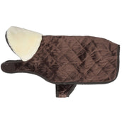 Kentucky Dog Coat Original Royal Brown