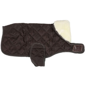 Kentucky Dog Coat Original Royal Brown