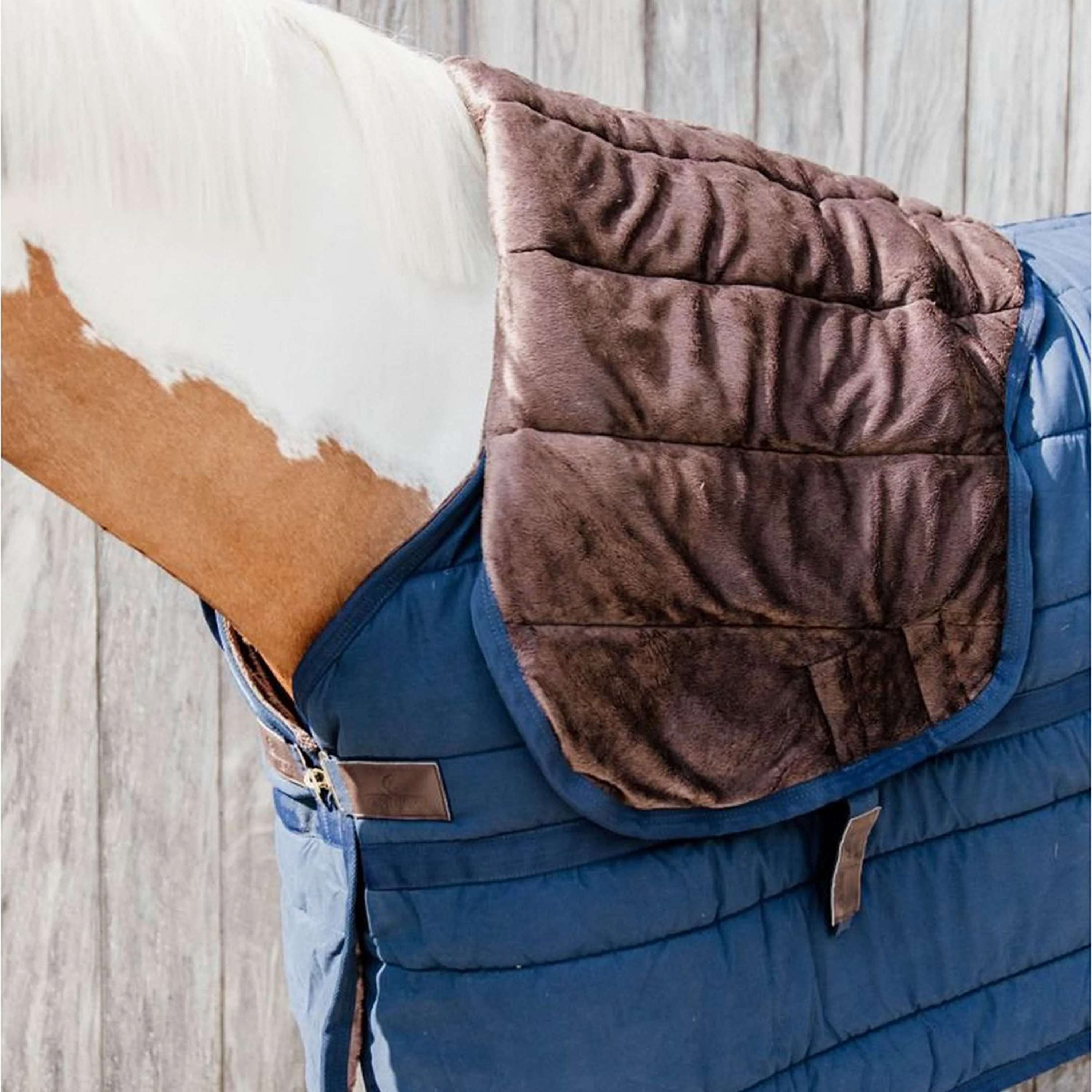 Kentucky Under Rug Skin Friendly Neck 150g Navy