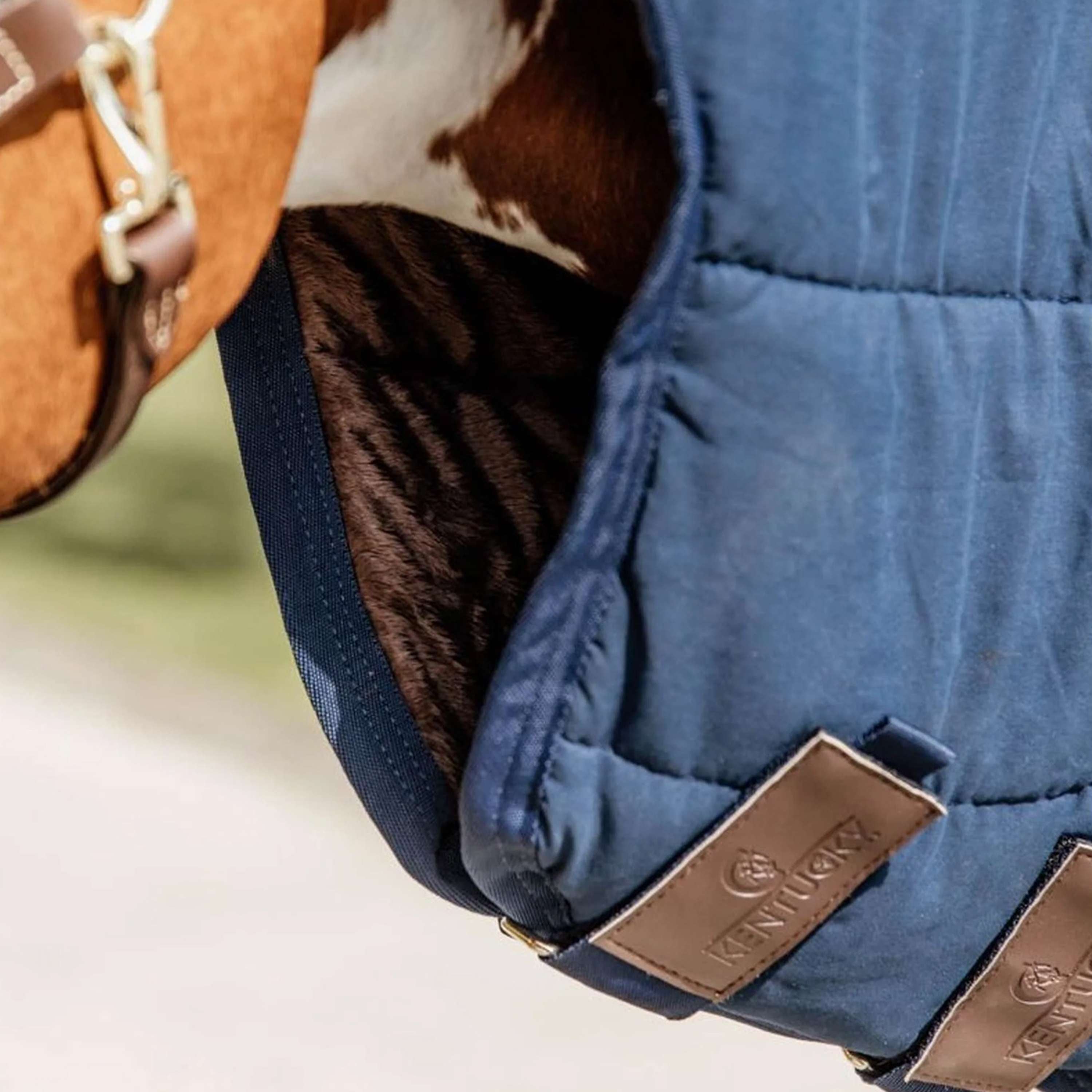 Kentucky Under Rug Skin Friendly Neck 150g Navy