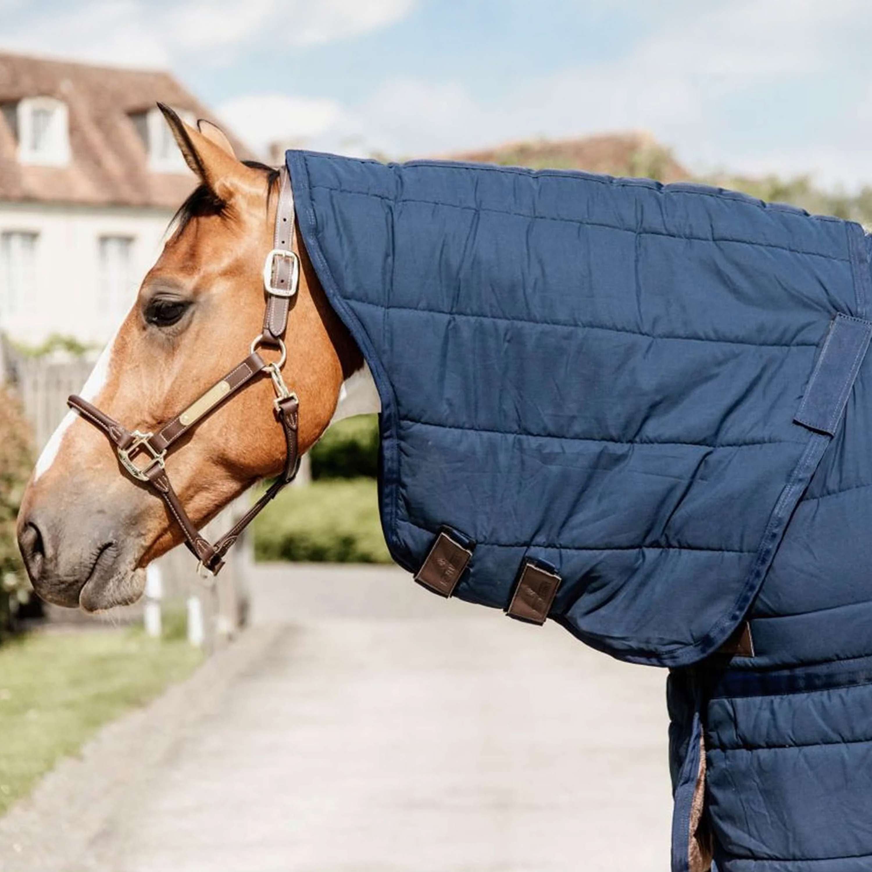 Kentucky Under Rug Skin Friendly Neck 150g Navy