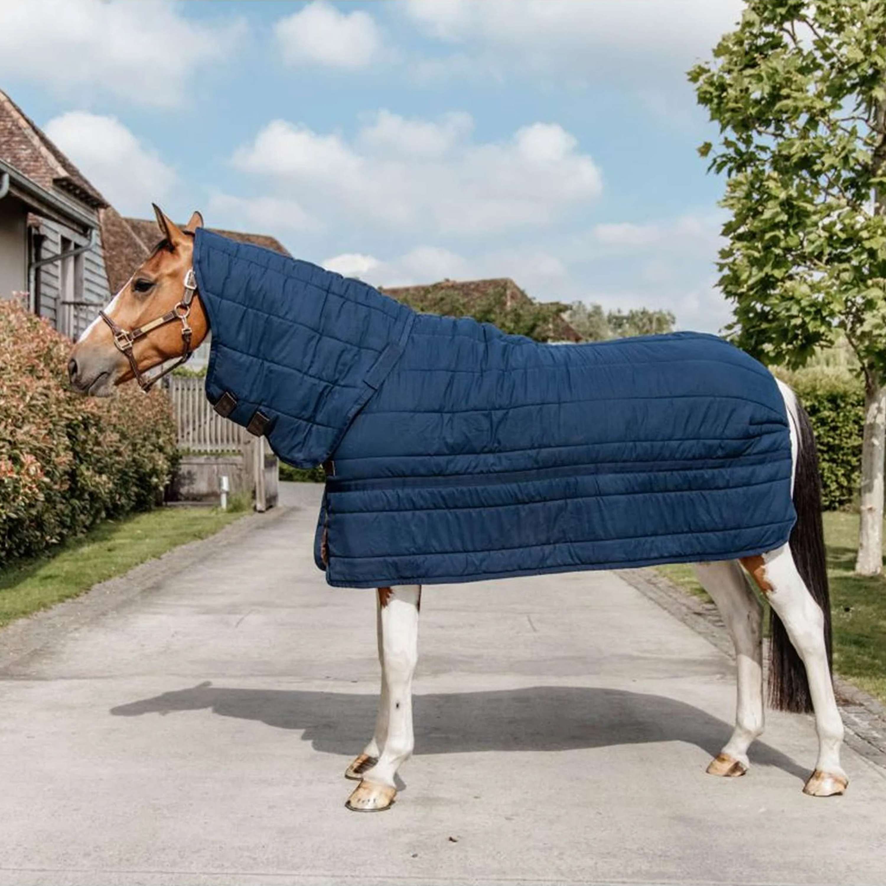Kentucky Under Rug Skin Friendly Neck 150g Navy
