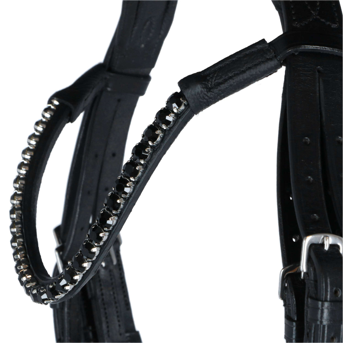 HB Double Bridle Special for You Black