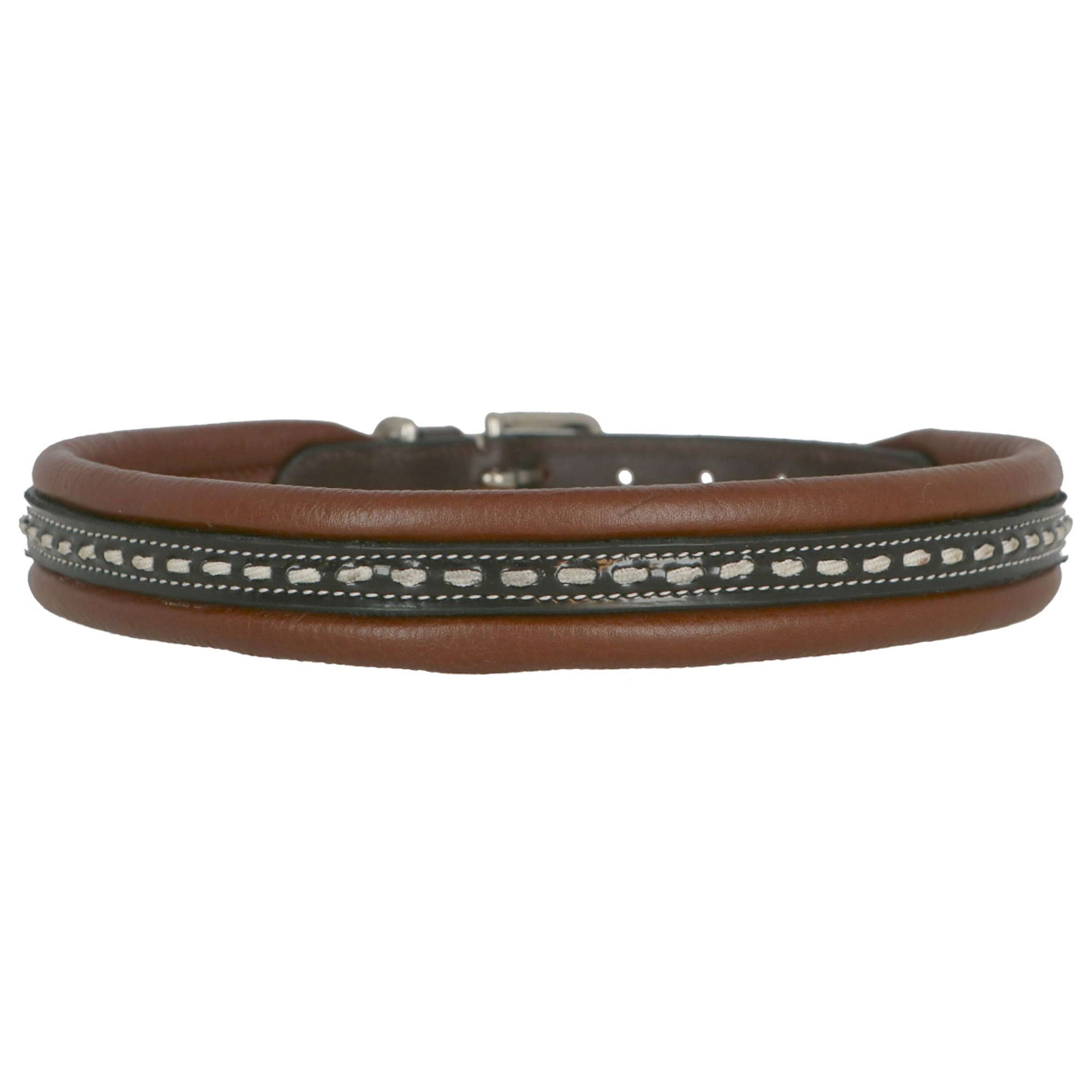 Pénélope Collar Point Sellier Leather Havana Pénélope Collar Point Sellier Leather Havana