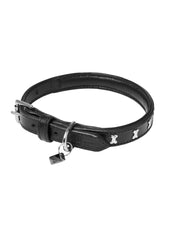 LeMieux Collar Chelsea Black