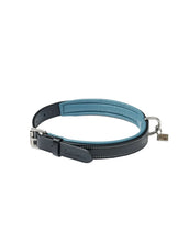 LeMieux Collar Windsor Padded Black/Blue