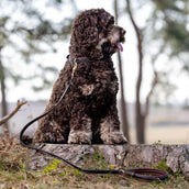 LeMieux Dog Leash Windsor Padded Brown/Hunter