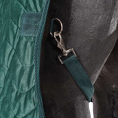 EQUITHÈME Stable Rug Velvet Teddy Green