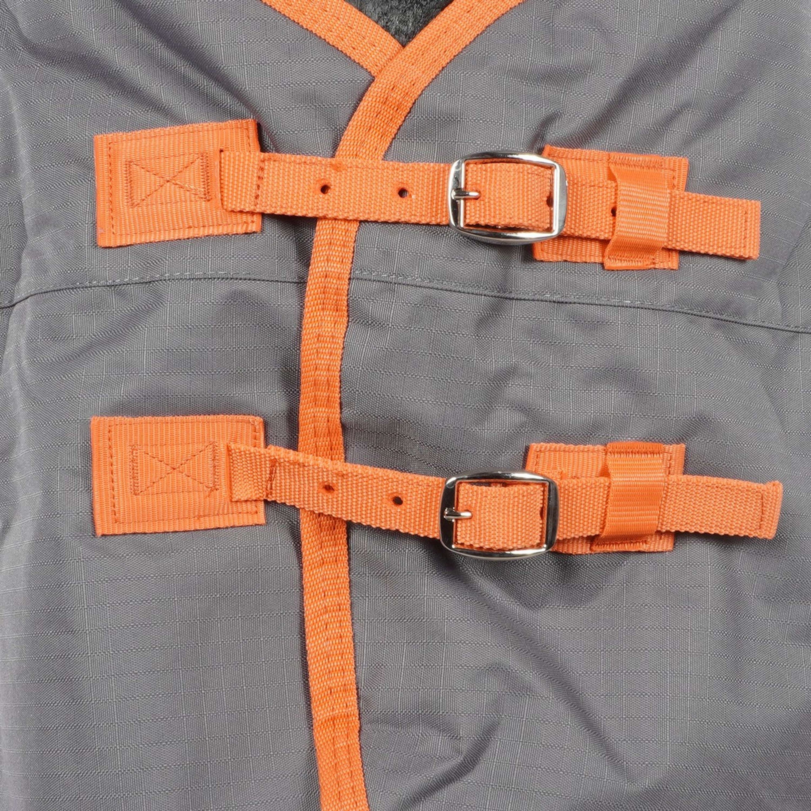 WeatherBeeta Winter Rug ComFiTec Classic Standard Neck Medium/Lite 600D 100g Gunmetal/Coral