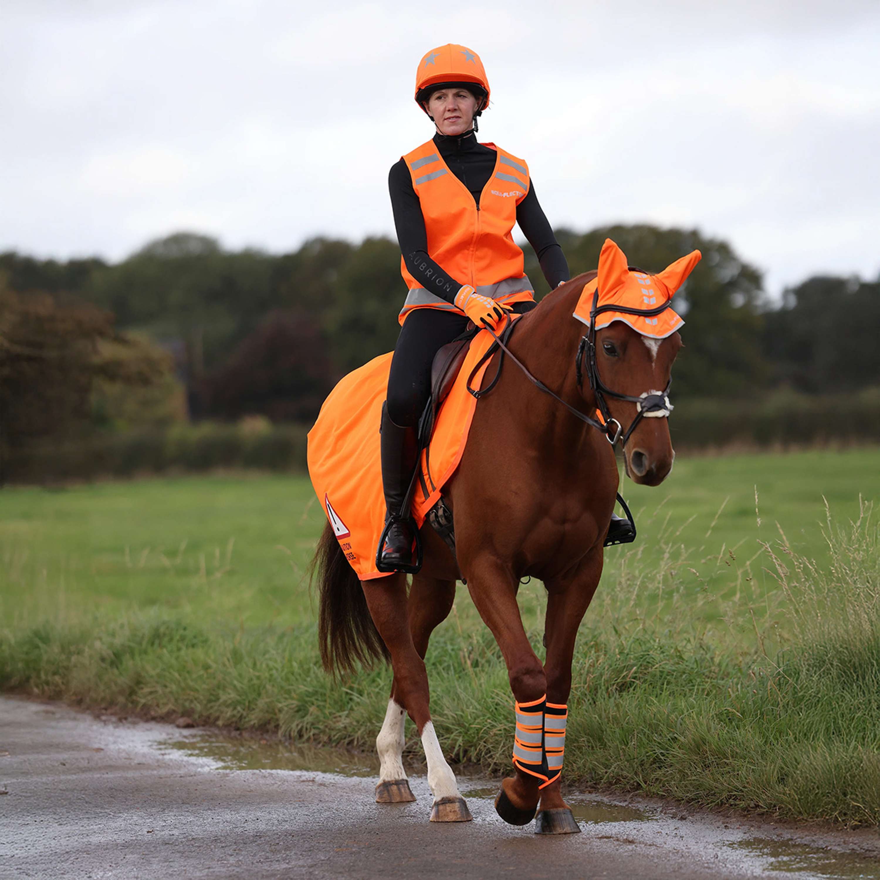 Equi-Flector by Shires Exercise Rug Mesh Reflective Orange