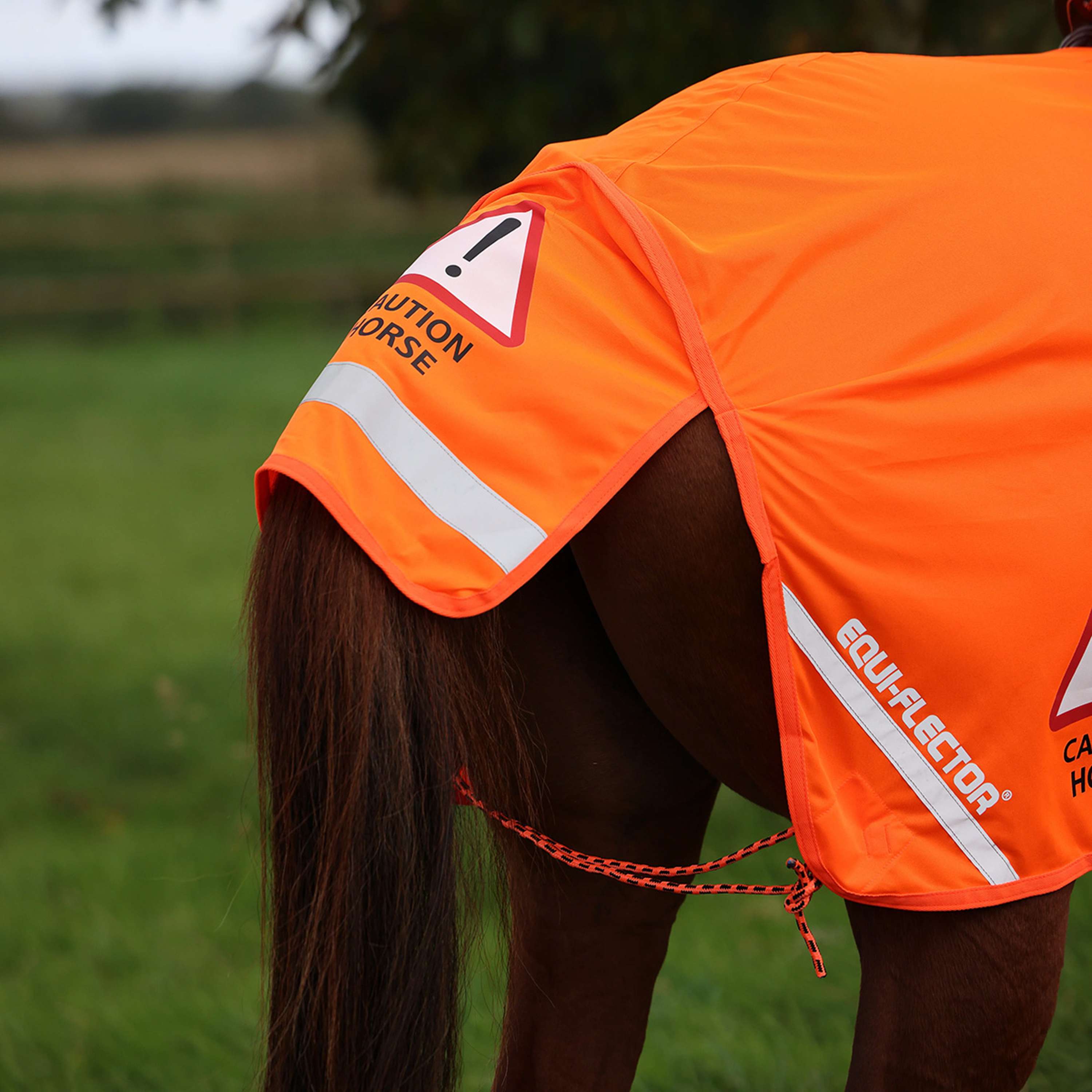 Equi-Flector by Shires Exercise Rug Mesh Reflective Orange