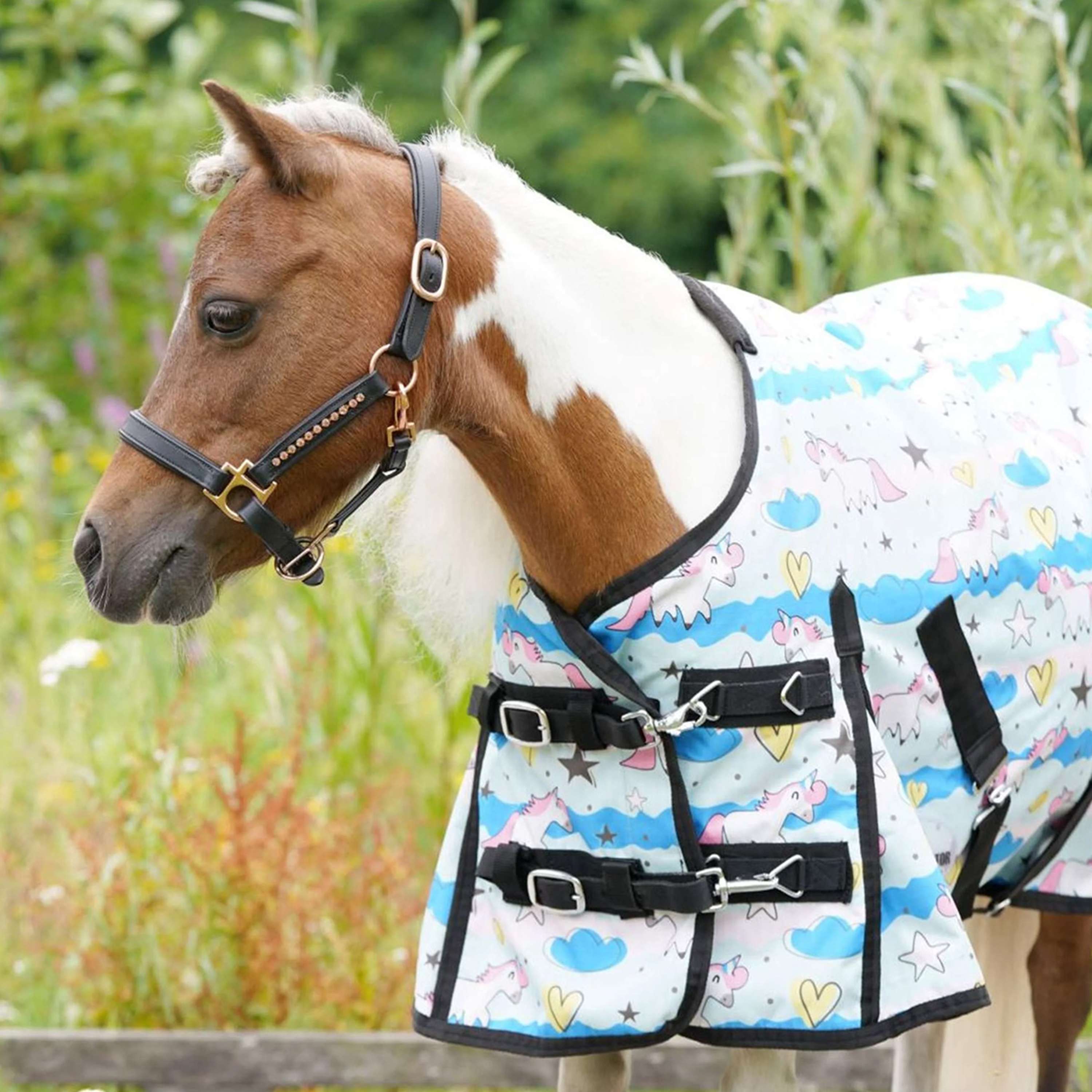 HB Harry & Hector Outdoor Rug 200g Unicorn Triple