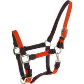 Kentucky Head Collar Plaited Nylon Orange