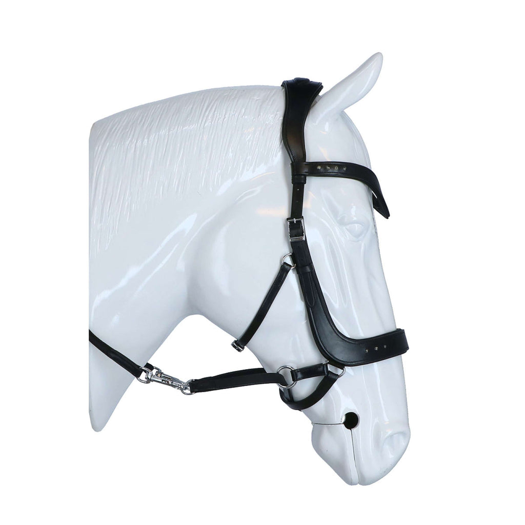 F.R.A. Bridle Glory Black